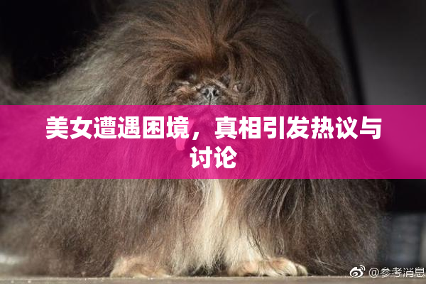 美女遭遇困境，真相引发热议与讨论