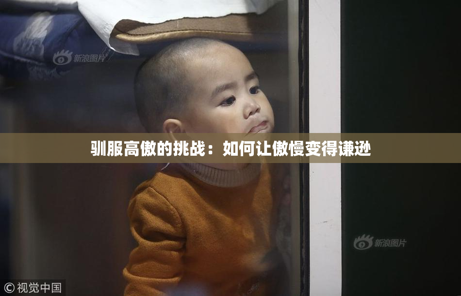 驯服高傲的挑战：如何让傲慢变得谦逊