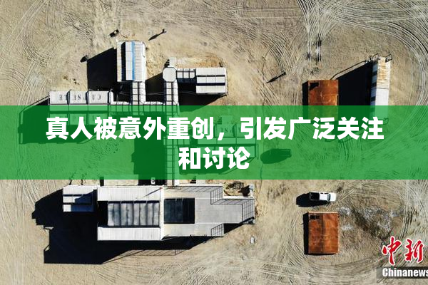 真人被意外重创，引发广泛关注和讨论