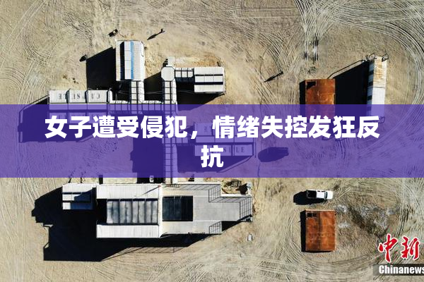女子遭受侵犯，情绪失控发狂反抗