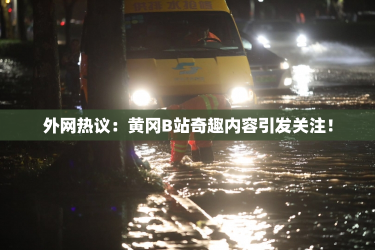 外网热议：黄冈B站奇趣内容引发关注！