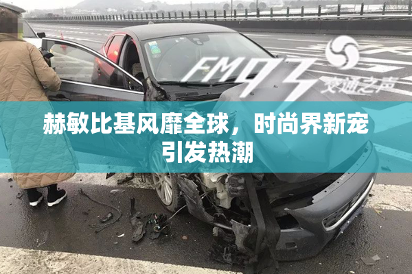 赫敏比基风靡全球，时尚界新宠引发热潮