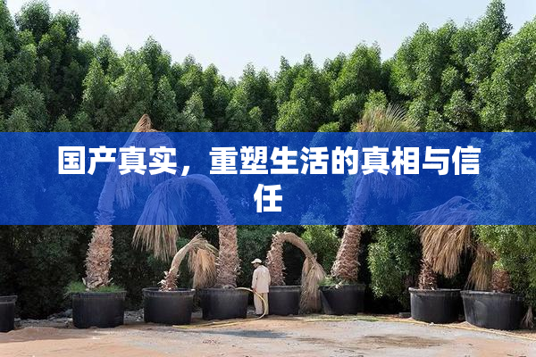 国产真实，重塑生活的真相与信任