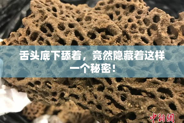 舌头底下舔着，竟然隐藏着这样一个秘密！