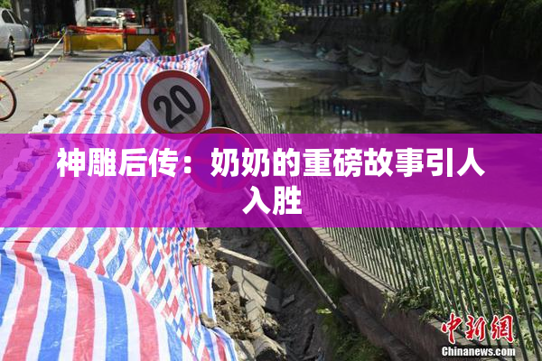 神雕后传：奶奶的重磅故事引人入胜