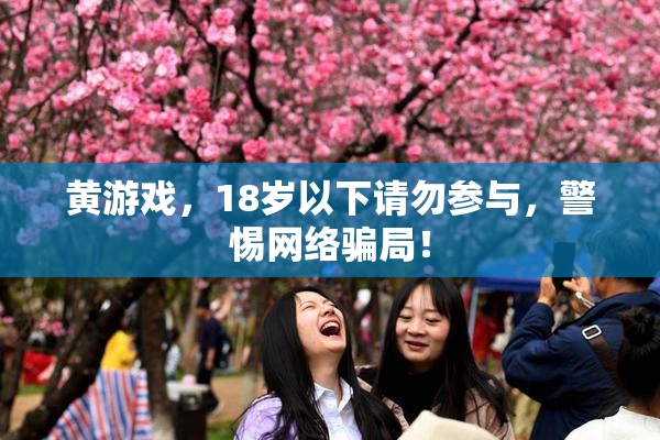 黄游戏，18岁以下请勿参与，警惕网络骗局！