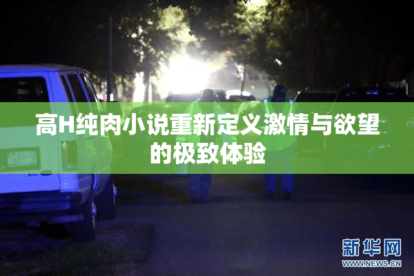 高H纯肉小说重新定义激情与欲望的极致体验