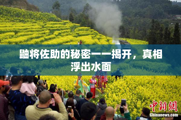 鼬将佐助的秘密一一揭开，真相浮出水面