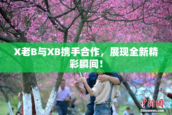 X老B与XB携手合作，展现全新精彩瞬间！