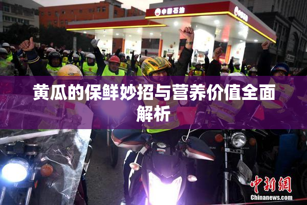 黄瓜的保鲜妙招与营养价值全面解析