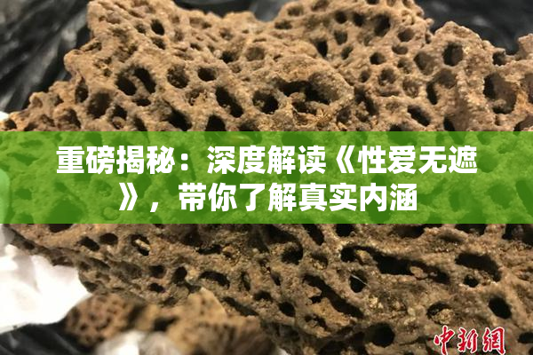重磅揭秘：深度解读《性爱无遮》，带你了解真实内涵