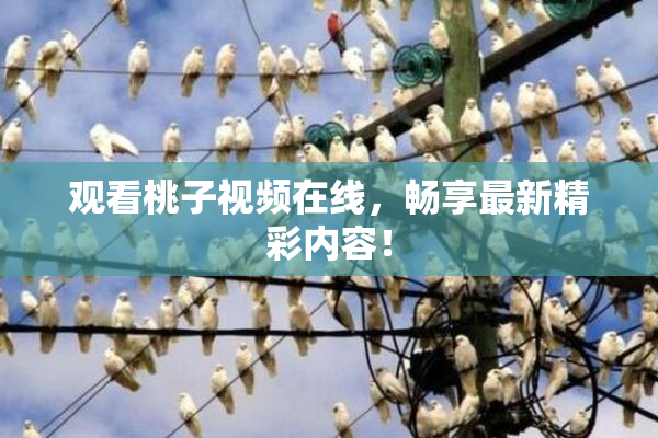 观看桃子视频在线，畅享最新精彩内容！