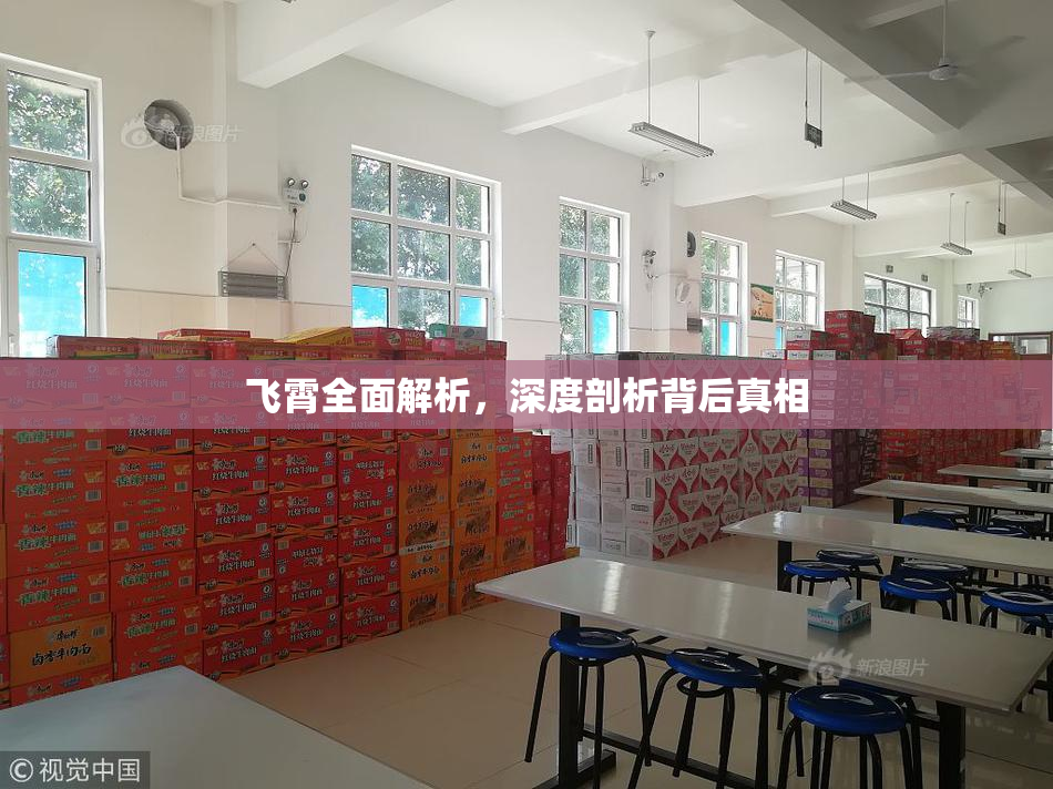 飞霄全面解析，深度剖析背后真相
