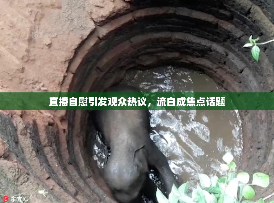 直播自慰引发观众热议，流白成焦点话题