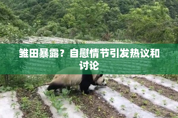 雏田暴露？自慰情节引发热议和讨论