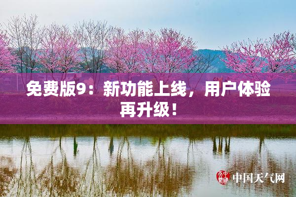 免费版9：新功能上线，用户体验再升级！