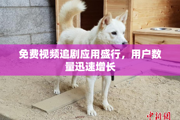免费视频追剧应用盛行，用户数量迅速增长