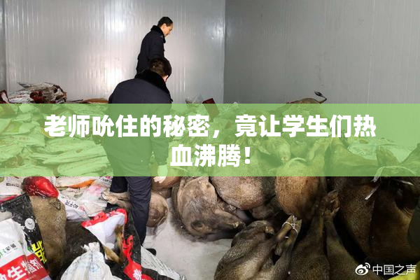 老师吮住的秘密，竟让学生们热血沸腾！