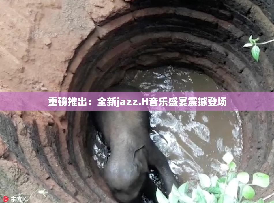 重磅推出：全新jazz.H音乐盛宴震撼登场