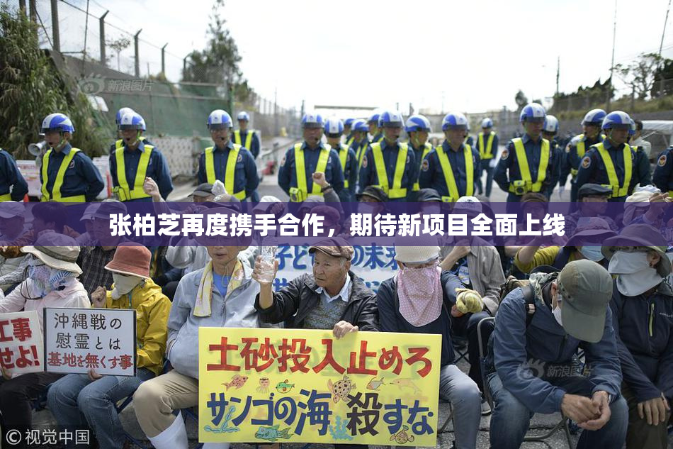 张柏芝再度携手合作，期待新项目全面上线