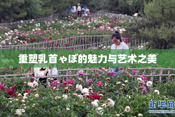 重塑乳首ゃぼ的魅力与艺术之美