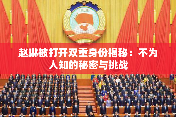 赵琳被打开双重身份揭秘：不为人知的秘密与挑战