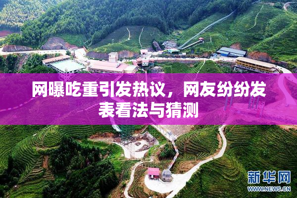 网曝吃重引发热议，网友纷纷发表看法与猜测