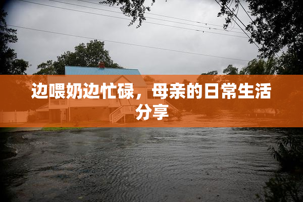 边喂奶边忙碌，母亲的日常生活分享