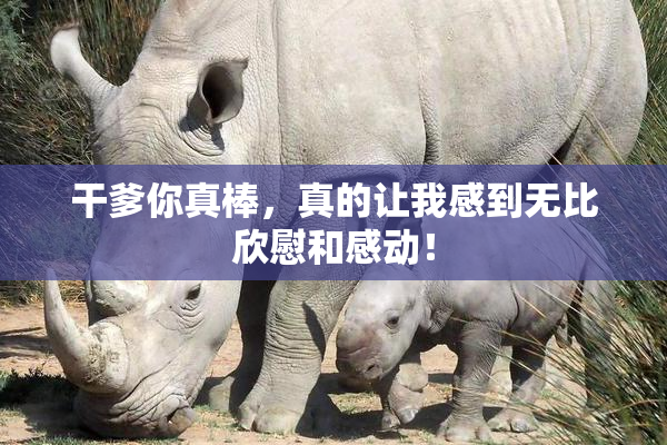 干爹你真棒，真的让我感到无比欣慰和感动！
