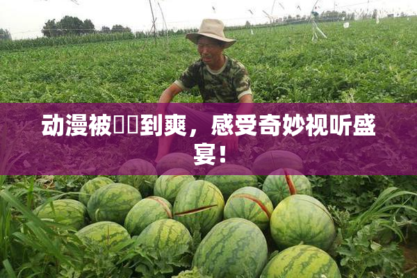 动漫被❌‌到爽，感受奇妙视听盛宴！
