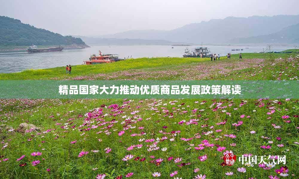 精品国家大力推动优质商品发展政策解读