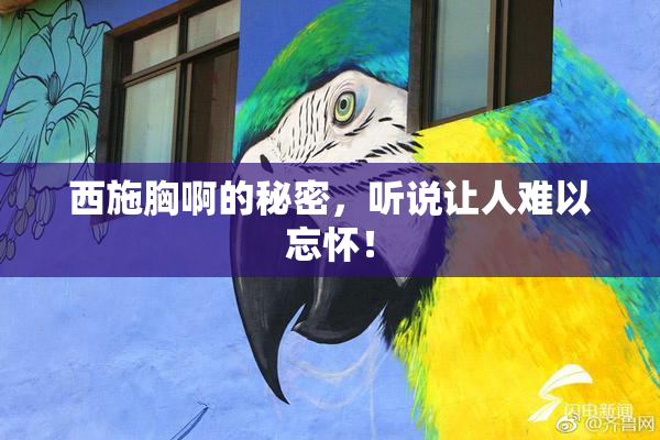 西施胸啊的秘密，听说让人难以忘怀！