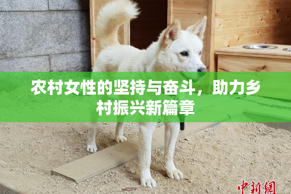 农村女性的坚持与奋斗，助力乡村振兴新篇章