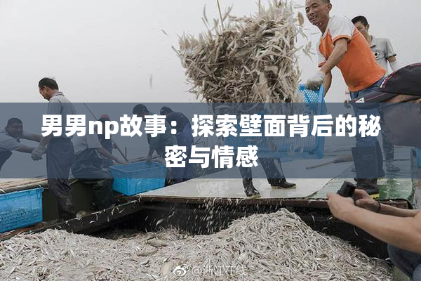 男男np故事：探索壁面背后的秘密与情感