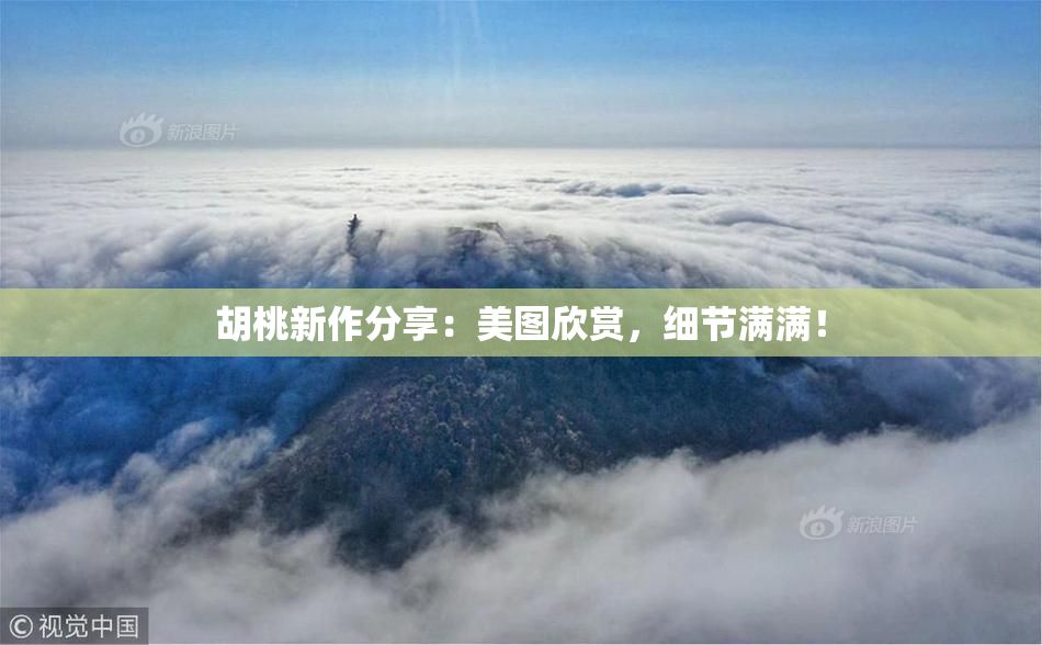 胡桃新作分享：美图欣赏，细节满满！