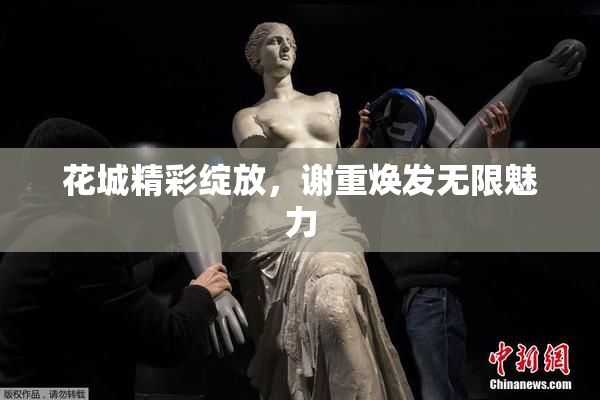 花城精彩绽放，谢重焕发无限魅力