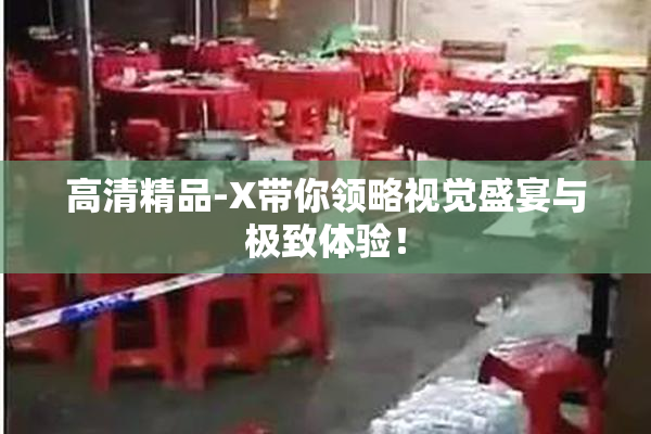 高清精品-X带你领略视觉盛宴与极致体验！