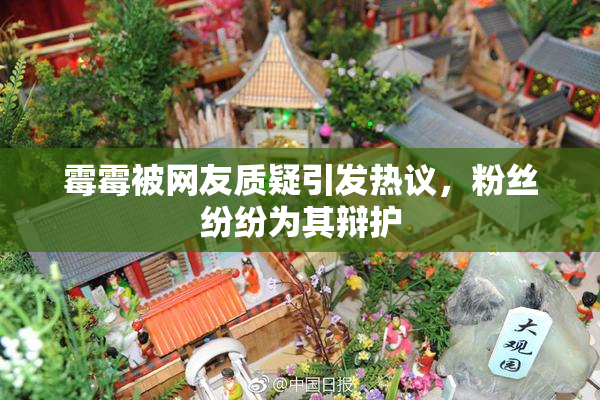 霉霉被网友质疑引发热议，粉丝纷纷为其辩护