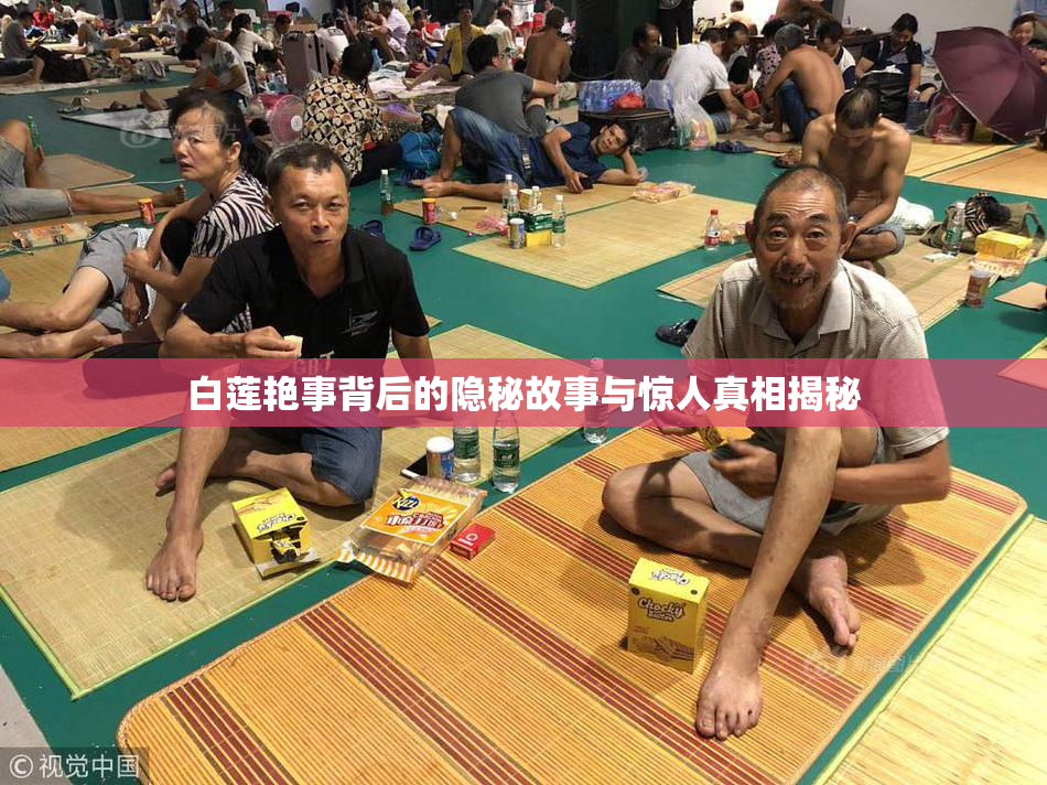 白莲艳事背后的隐秘故事与惊人真相揭秘