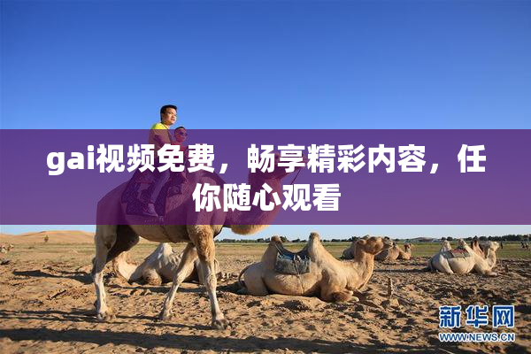 gai视频免费，畅享精彩内容，任你随心观看