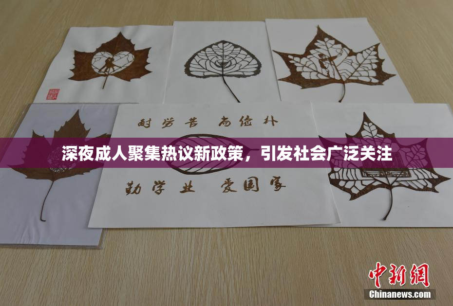 深夜成人聚集热议新政策，引发社会广泛关注