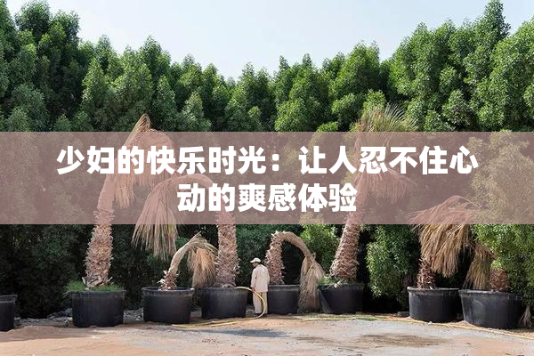 少妇的快乐时光：让人忍不住心动的爽感体验