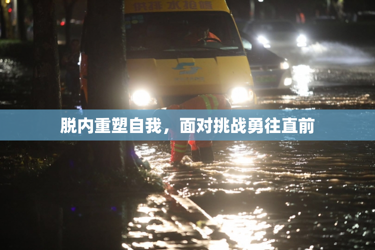 脱内重塑自我，面对挑战勇往直前