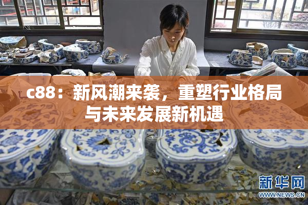 c88：新风潮来袭，重塑行业格局与未来发展新机遇