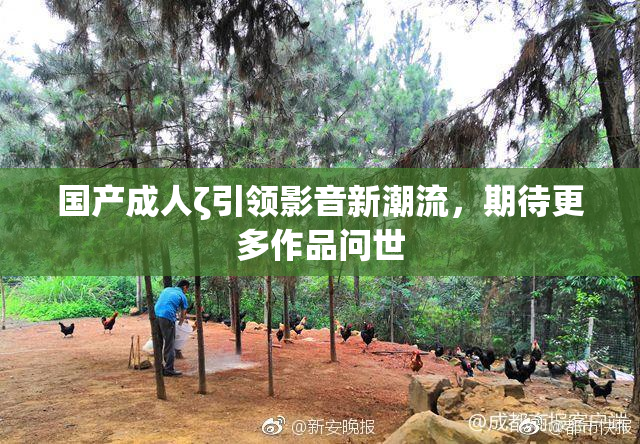 国产成人ζ引领影音新潮流，期待更多作品问世