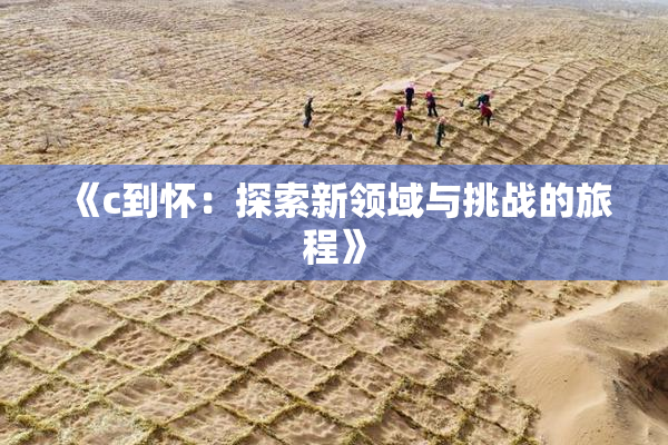 《c到怀：探索新领域与挑战的旅程》