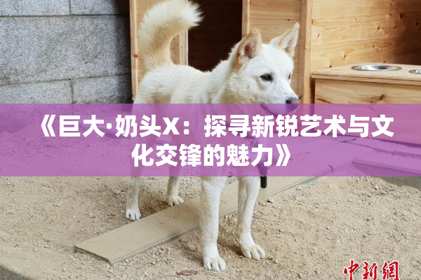 《巨大·奶头X：探寻新锐艺术与文化交锋的魅力》