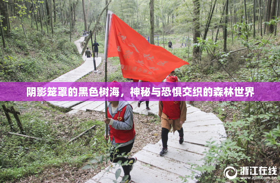 阴影笼罩的黑色树海，神秘与恐惧交织的森林世界