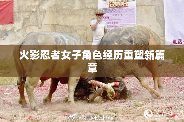 火影忍者女子角色经历重塑新篇章