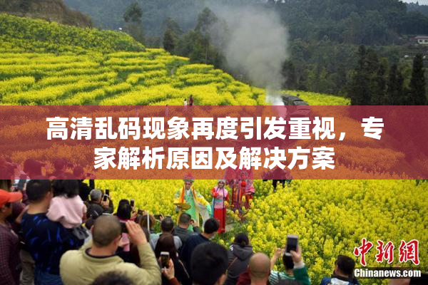 高清乱码现象再度引发重视，专家解析原因及解决方案